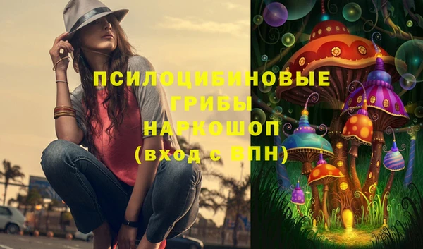 бошки Абинск