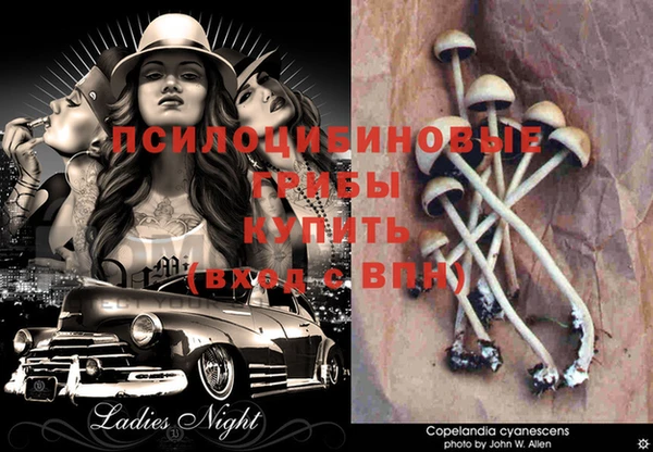 бошки Абинск