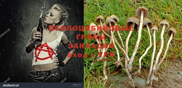 бошки Абинск