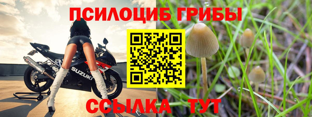 Галлюциногенные грибы мухоморы  Вход с VPN  Алатырь 